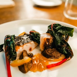 Meagre - Naevia - 974468