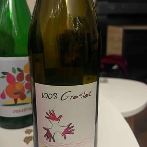 100% Groslot - Les Grandes Vignes - laurence-dominique-jean-francois-vaillant