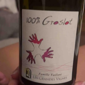 100% Pineau d'Aunis - Les Grandes Vignes - laurence-dominique-jean-francois-vaillant