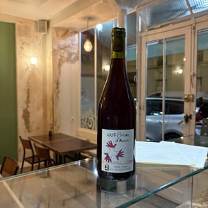 100% Pineau d'Aunis - Les Grandes Vignes - laurence-dominique-jean-francois-vaillant