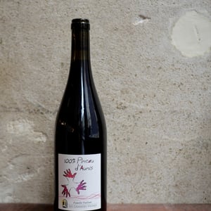 100% Pineau d'Aunis - Les Grandes Vignes - laurence-dominique-jean-francois-vaillant