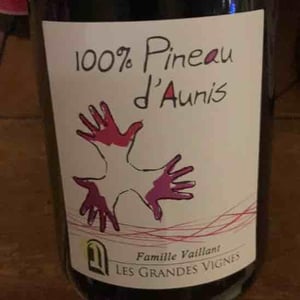 100% Pineau d'Aunis - Les Grandes Vignes - laurence-dominique-jean-francois-vaillant