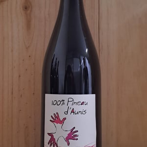 100% Pineau d'Aunis - Les Grandes Vignes - laurence-dominique-jean-francois-vaillant