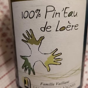 100% Pin'Eau de Loère - Les Grandes Vignes - laurence-dominique-jean-francois-vaillant