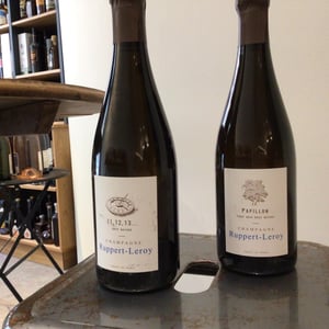 11, 12, 13 - Champagne Ruppert-Leroy - emmanuel-ruppert-benedicte-leroy