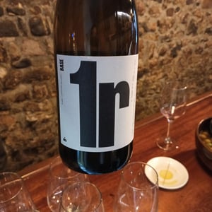 1r Base - Celler 9+ - moises-virgili-i-rovira