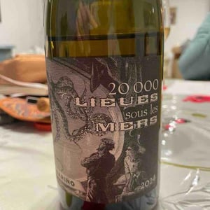 20000 lieues sous les mers - Château Combel La Serre - sophie-julien-ilbert -2024