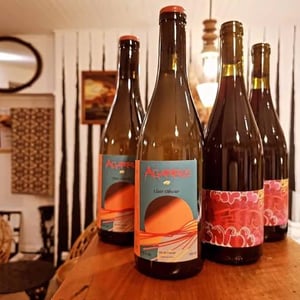 201 - La Robe Pourpre - elisabeth-villeneuve