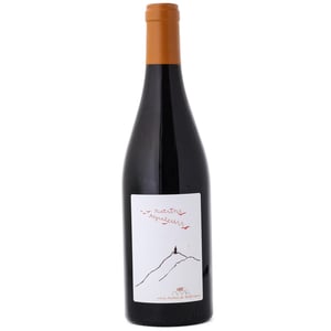 Raisins Migrateurs - Domaine de Bellivière - clement-et-laure-anne-nicolas