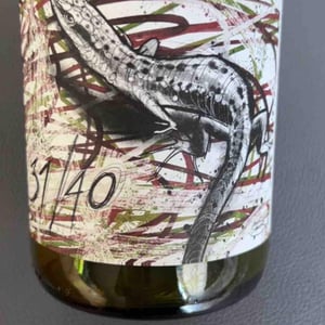 31/40 - Domaine les Gragnotes - benoit-guillot-erika-mazer -2022