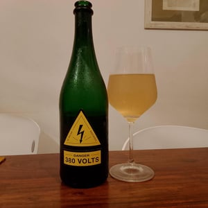 380 Volts - Milan Nestarec - milan-nestarec -2022