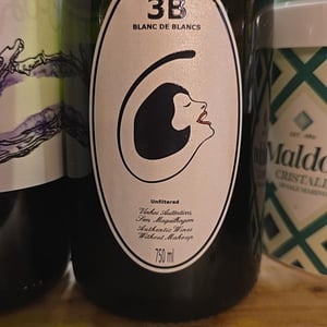 3B Brut Nature Blanc de Blancs - Filipa Pato - filipa-pato-william-wouters