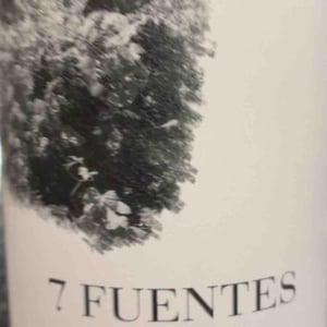 7 Fuentes - Bodegas Suertes Del Marques - jonatan-garcia-lima-luis-seabra