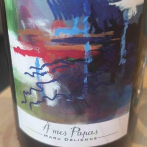 A mes papas - Marc Delienne - marc-delienne -2020