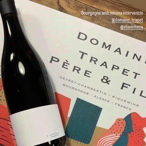À Minima (Rouge) - Domaine Jean Trapet Père et Fils - jean-louis-trapet