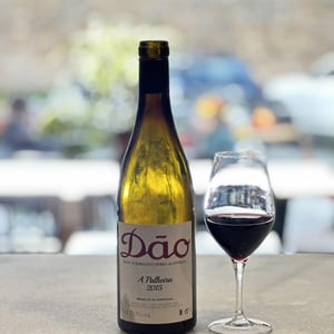 A palheira - António Madeira - antonio-madeira -2019