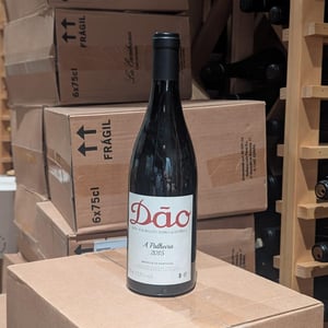 A palheira - António Madeira - antonio-madeira -2019