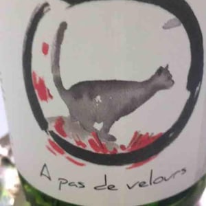 A Pas de Velours - Lindenlaub - christophe-lindenlaub