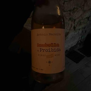 A Proibida - António Maçanita - antonio-macanita -2023