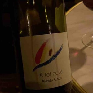 A Toi Nous - Andrea Calek - Andrea Calek et Stephana Nicolescu