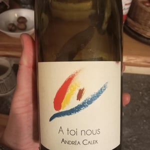 A Toi Nous II - Andrea Calek - andrea-calek-et-stephana-nicolescu