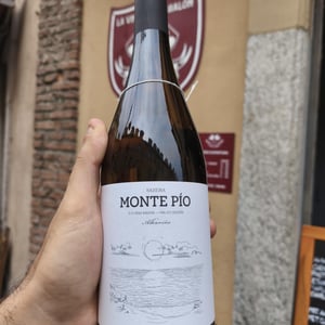 Albarino Raxeira - Bodegas Casa Monte Pío - pablo-martinez