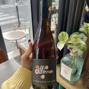 Albinos - Les Pieds Sur Terre - valentin-morel -2020