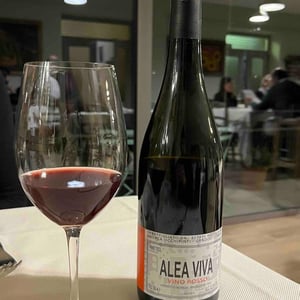 Alea Viva - Azienda Agricola Andrea Occhipinti - Andrea Occhipinti