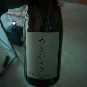 Aligato - La Soufrandière - Bret Brothers - jean-guillaume-jean-philippe-bret