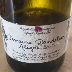 Aligotè - Domaine Dandelion - morgane-seuillot-christian-knott -2022