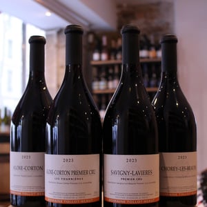 Aloxe Corton - Domaine Tollot-Beaut - alexandre-tollot-aurelie-beaut