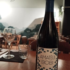 Amatéüs Bobi - Domaine Calvez-Bobinet - sebastien-bobinet-emeline-calvez