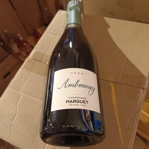 Ambonnay - Champagne Marguet - benoit-marguet