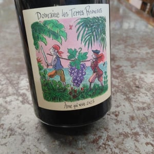 Âme Qui Vive - Les Terres Promises - jean-christophe-comor