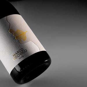 Amforeas - Marco Ludovico [TO_INVESTIGATE] - marco-ludovico