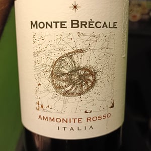 Ammonite rosso - Cantina Monte Brècale - cantina-monte-brecale -2022