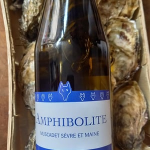 Amphibolite - Domaine Jo Landron - jo-landron