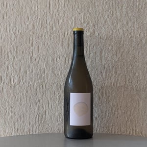 Anjo - atlas.land - filippo-pozzi -2023