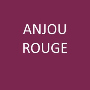 ANJOU ROUGE - Le Clos des Treilles - nicolas-reau -2024