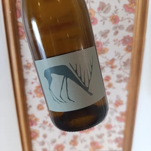 Annolium Blanc - Domaine Des Trouillères - camille-mikael-hyvert -2021