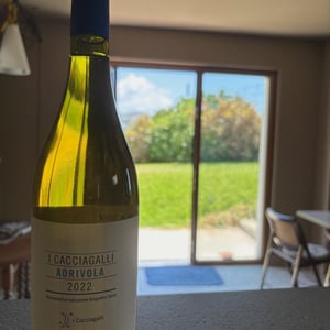 Aorivola - Azienda Agricola I Cacciagalli - diana-lannaccone