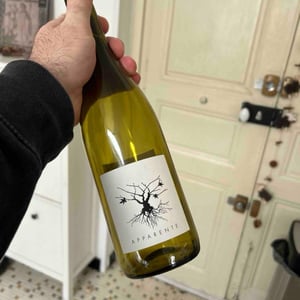 Apparente Blanc - Chateau Puech redon - cyril-cuche