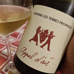 Appel d'air - Les Terres Promises - jean-christophe-comor