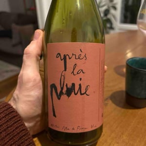 Après la pluie - Simon Rouillard - simon-rouillard