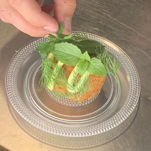 Arancini Do Arroz De Tomate - Minot - 929035