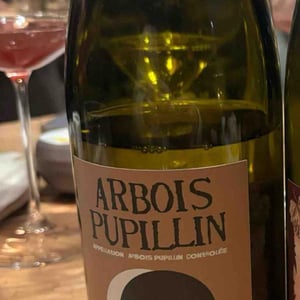 Arbois-Pupillin "Blanc - Chardonnay Vieilles Vignes" - Domaine Renaud Bruyère & Adeline Houillon - renaud-bruyere-adeline-houillon