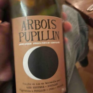Arbois-Pupillin "Blanc - Chardonnay Vieilles Vignes" - Domaine Renaud Bruyère & Adeline Houillon - Renaud Bruyère & Adeline Houillon