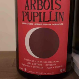 Arbois-Pupillin - Ploussard - Maison Pierre Overnoy - emmanuel-houillon-pierre-overnoy