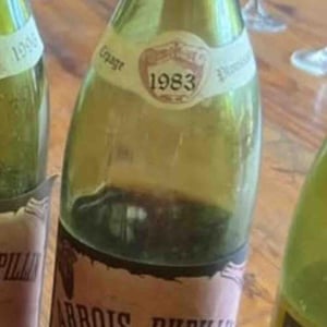 Arbois Pupillin Poulsard - Maison Pierre Overnoy - emmanuel-houillon-pierre-overnoy -2018