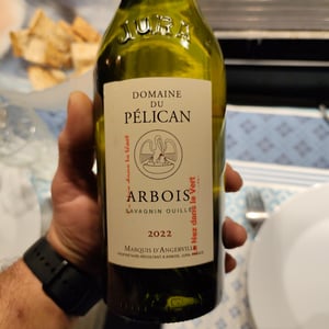 Arbois - Domaine Du Pélican - guillaume-dangerville-francois-duvivier -2018